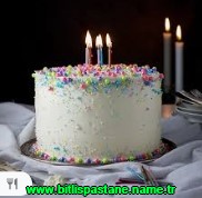 Bitlis Doğum günü yaş pasta yolla